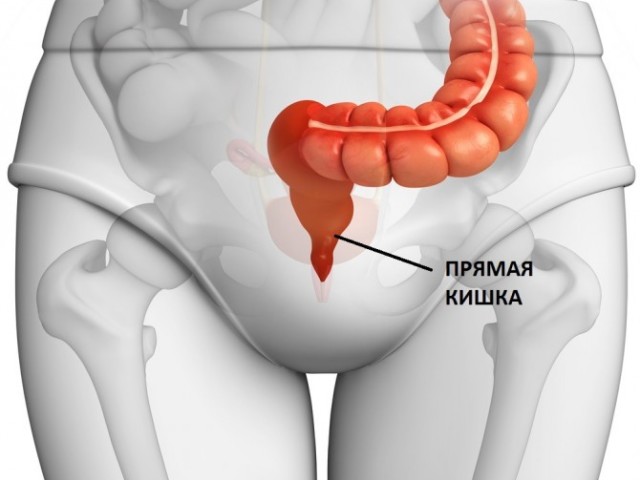 Рак двенадцатиперстной кишки: анатомия и функции, причины заболевания, первые симптомы и лечение патологии