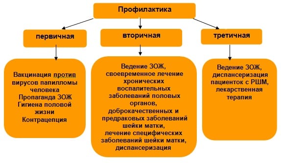 Прививка от рака шейки матки: эффективность и сравнение вакцин, особенности их применения, возможные побочные эффекты, схема иммунизации от рака