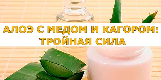 Алоэ, мед и Кагор при онкологии: рецепты нестандартного лечения, народные рецепты и реальные отзывы
