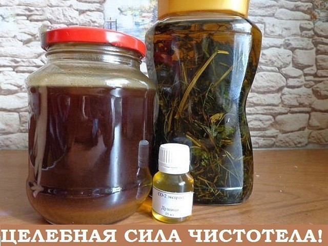 Лечение чистотелом онкологических заболеваний: польза и вред, рекомендации народной медицины, лечебные свойства и рецепты использования
