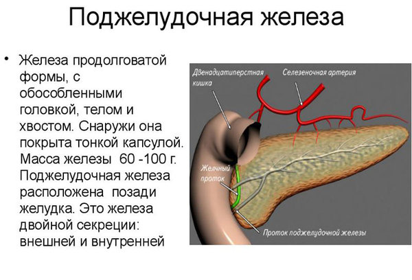 Рак поджелудочной железы 4 стадии: причины и признаки заболевания, особенности течения болезни, прогноз выживаемости