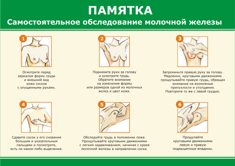 Профилактика рака молочной железы: инструкция для женщин, лечение при первичном обнаружении онкологии и рекомендации онкологов