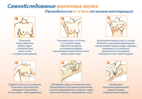 Профилактика рака молочной железы: инструкция для женщин, лечение при первичном обнаружении онкологии и рекомендации онкологов