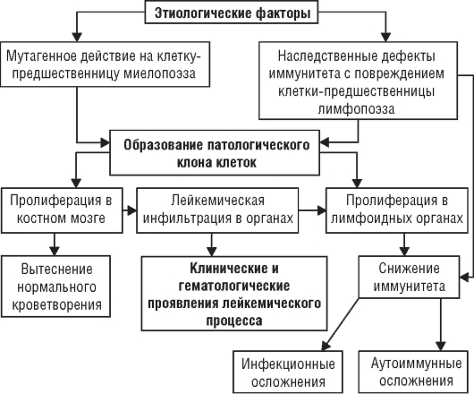 Анализ крови при лейкозе: виды и значение лабораторной диагностики, расшифровка результатов, как подготовится к процедуре Анализ крови при лейкозе: виды и значение лабораторной диагностики, расшифровка результатов, как подготовится к процедуре