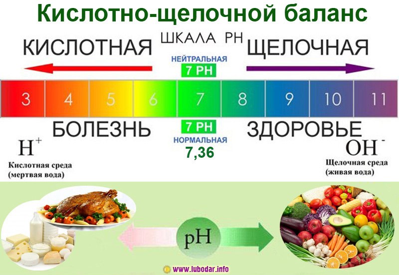 Диета при раке легких: подбираем режим питания и особенности выбора продуктов, советы диетологов