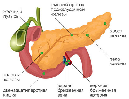 Рак поджелудочной железы: признаки заболевания и методы диагностики, как лечить злокачественную опухоль