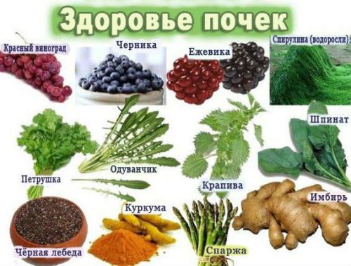 Диета при хроническом пиелонефрите у взрослых и детей, особенности питания