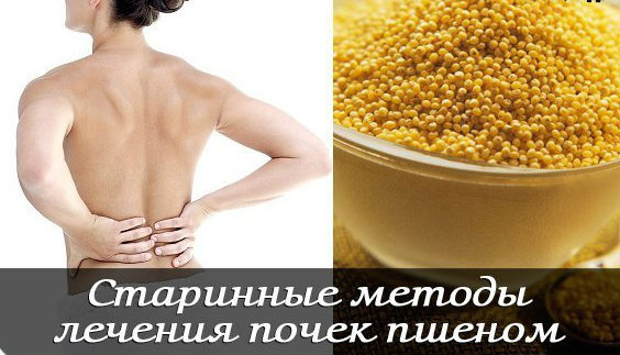 Пшено для лечения почек: старинный рецепт, отзывы, противопоказания