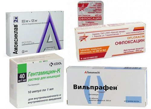 Инфекционный простатит: лечение инфекции, симптомы, причины и диагностика