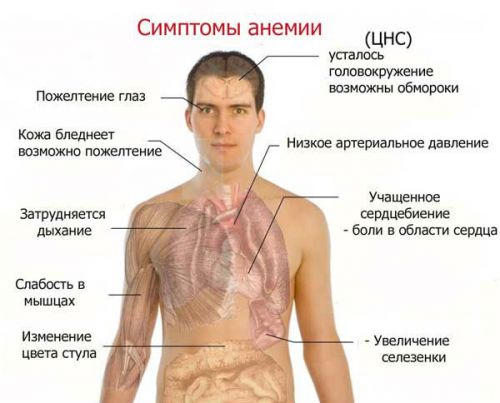 Тампонада мочевого пузыря: причины, симптомы, лечение