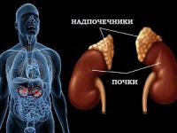 Болезнь Аддисона: симптомы, лечение и диагностика у женщин, фото больных