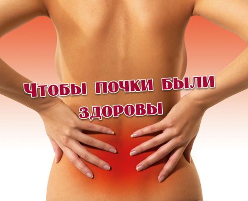 Препарат Урофорс (Uroforce), его применение и отзывы
