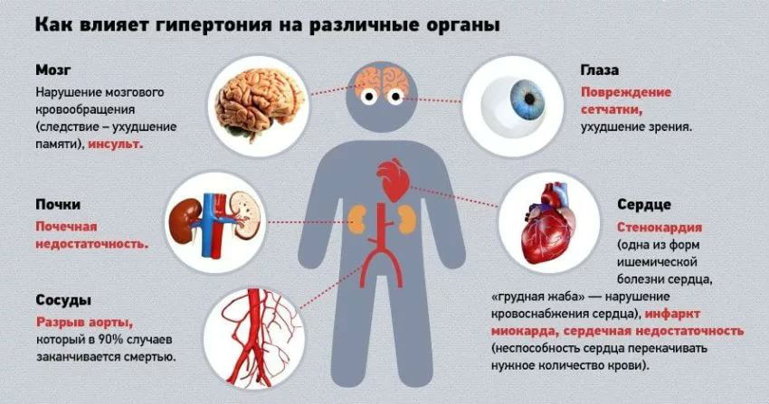 Почечная гипертония: симптомы, лечение артериальной гипертензии