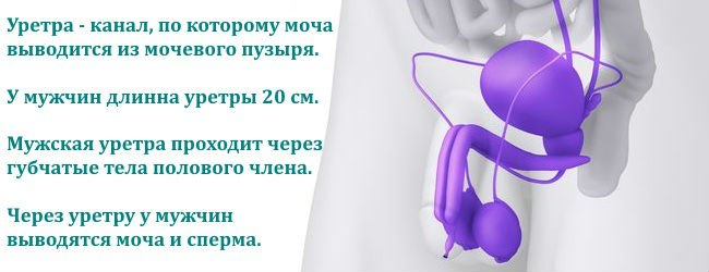 Стриктура уретры у мужчин: лечение сужения лазером