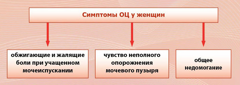 Воспаление мочевого пузыря у женщин: лечение, симптомы и причины