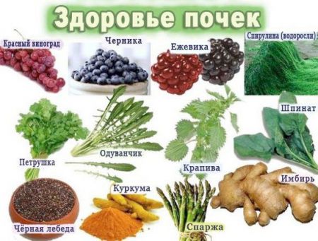 МКД почек (мочекаменный диатез): что это такое, причины и лечение