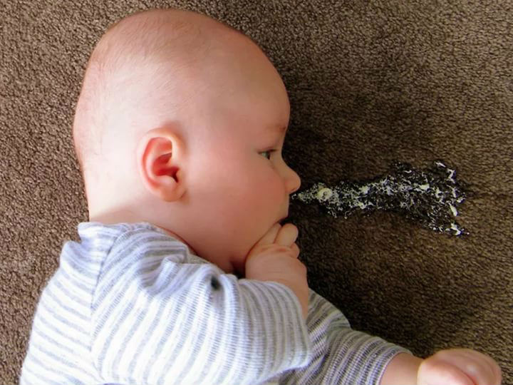 Клебсиелла в моче: лечение пневмонии klebsiella pneumoniae у взрослых