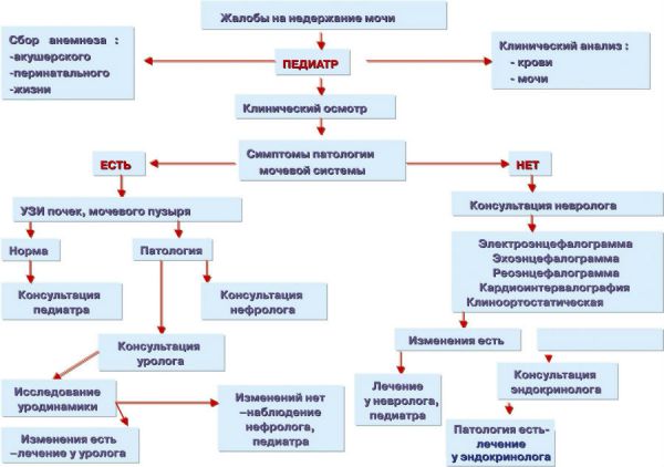 Неврозоподобный энурез у детей: что это, причины и лечение