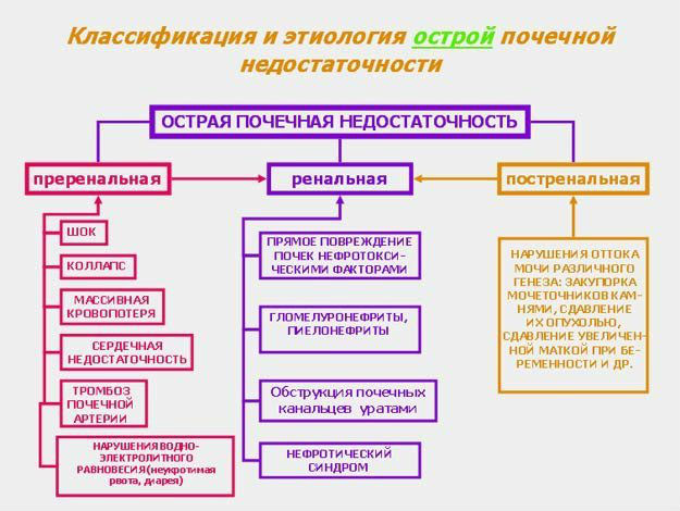 Что такое почечная недостаточность: симптомы и лечение, причины, как проявляется