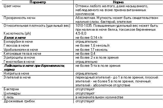 Анализ мочи при гломерулонефрите и показатели мочевого синдрома