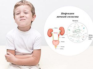 Рефлюкс почки и мочевого пузыря у детей: симптомы, лечение