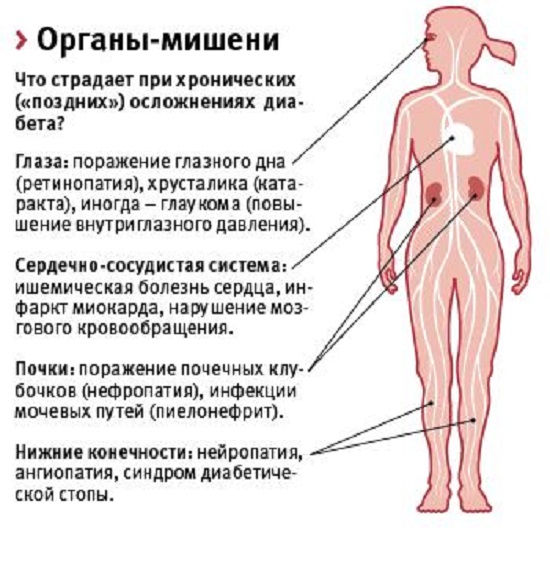 Нефропатия почек: что это такое, симптомы и лечение болезни