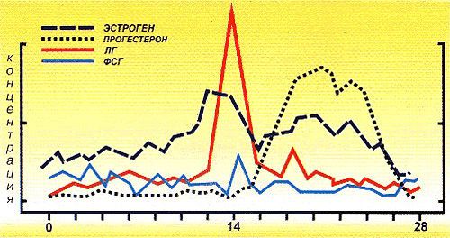 Хронический пиелонефрит при беременности: последствия для ребенка, лечение