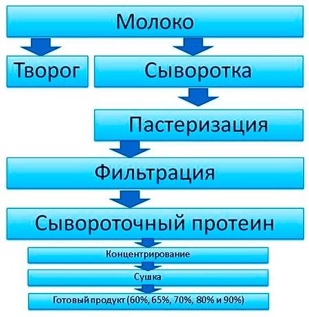 Влияние сывороточного протеина на почки, как влияет на образование камней