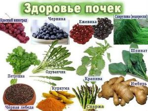Диета при заболевании почек, меню и питание при больных почках