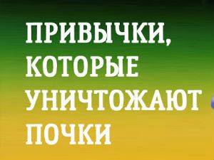 Болят почки после алкоголя: что делать, как лечить боли от пива