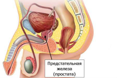 Чем опасен цистит: последствия для женщин, возможные осложнения