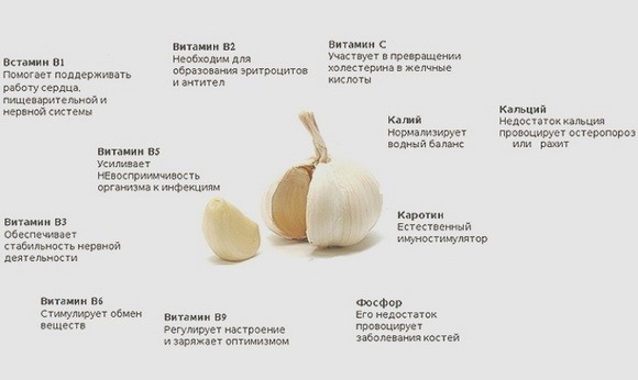 Чеснок при простатите: лечение в домашних условиях, польза и вред, можно ли есть