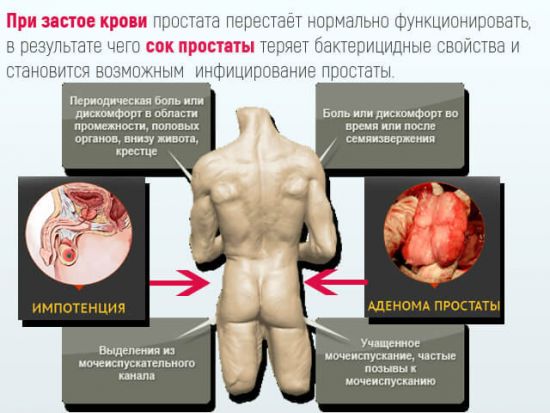 Можно ли греть простату при простатите, особенности прогревания