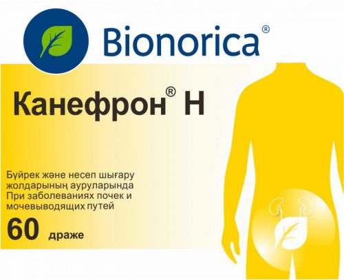 Лечение почек: таблетки, препараты для профилактики, антибиотики и их название