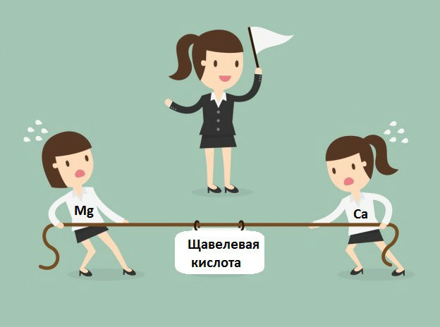 Лечение камней в почках таблетками, разбивающими камни, лекарства и препараты