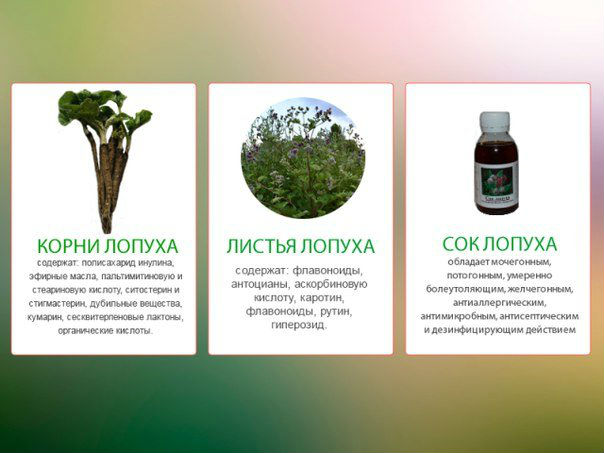 Лечение гломерулонефрита: как лечить заболевание почек