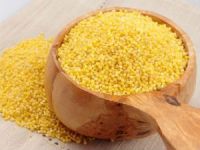 Клюква для почек при пиелонефрите, лечении мочекаменной болезни