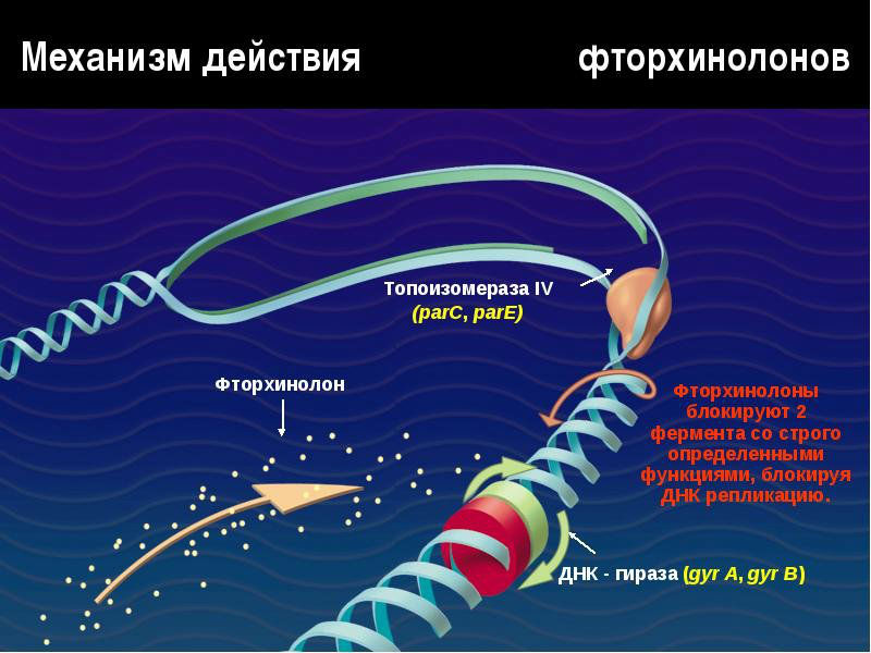 Лекарство от цистита: лучшие препараты и эффективные средства