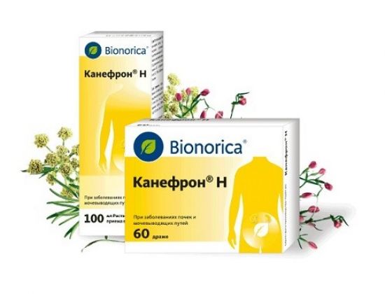 Камни в почках при беременности: что делать, причины, лечение