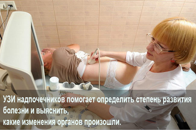 Размер почки у взрослого человека: таблица, норма у детей, асимметрия