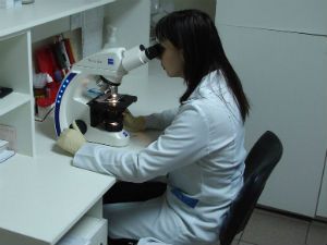 Микроскопия осадка мочи: расшифровка анализа, норма исследования