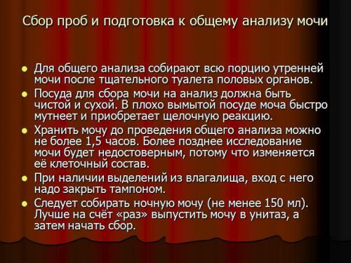 Гематурия при пиелонефрите: как она проявляется, диагностика