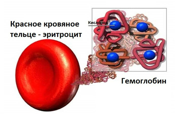 Красная моча: что это значит, причины красноватого цвета мочи у мужчин