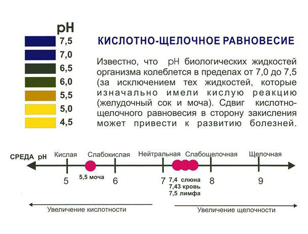 pH мочи: норма кислотности у женщин, мужчин и детей, что это значит