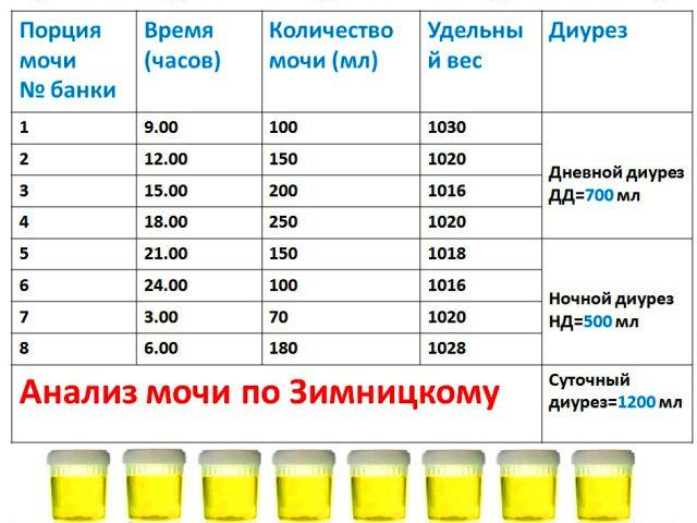 Причины наличия белка в моче у мужчины: норма, что означает