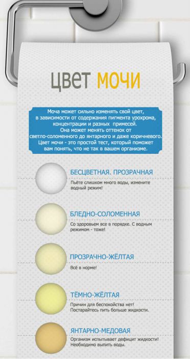 Резкий запах мочи у женщин: причины почему она сильно пахнет, лечение