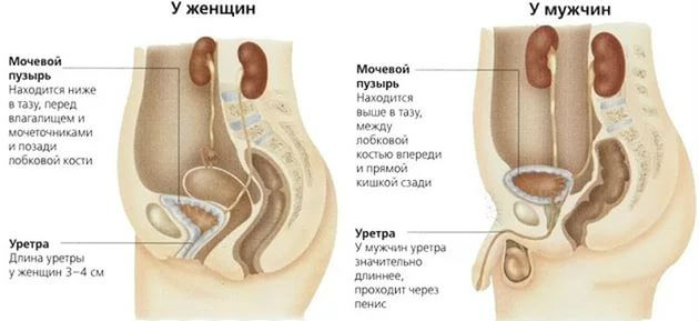 Неприятные ощущения в мочеиспускательном канале, боль и дискомфорт у мужчин