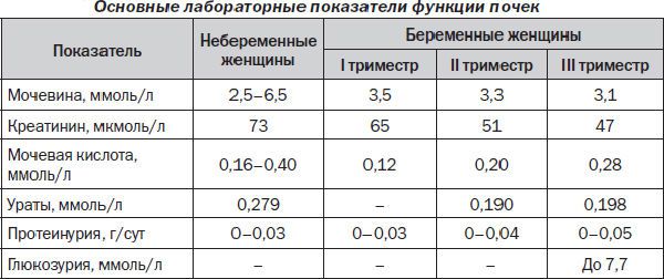 Повышенный белок в моче при беременности, причины повышения у беременных