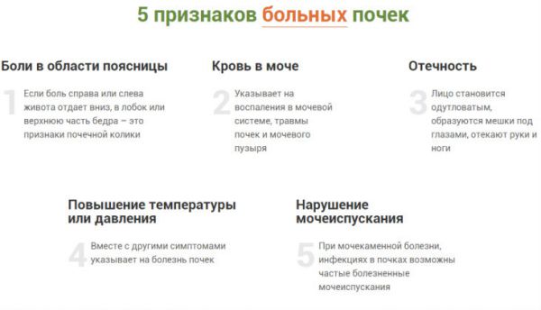 Болят почки или спина: как определить и узнать симптомы боли