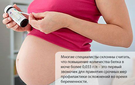 Микроальбумин в моче (анализ на МАУ): что это, как сдавать и собирать